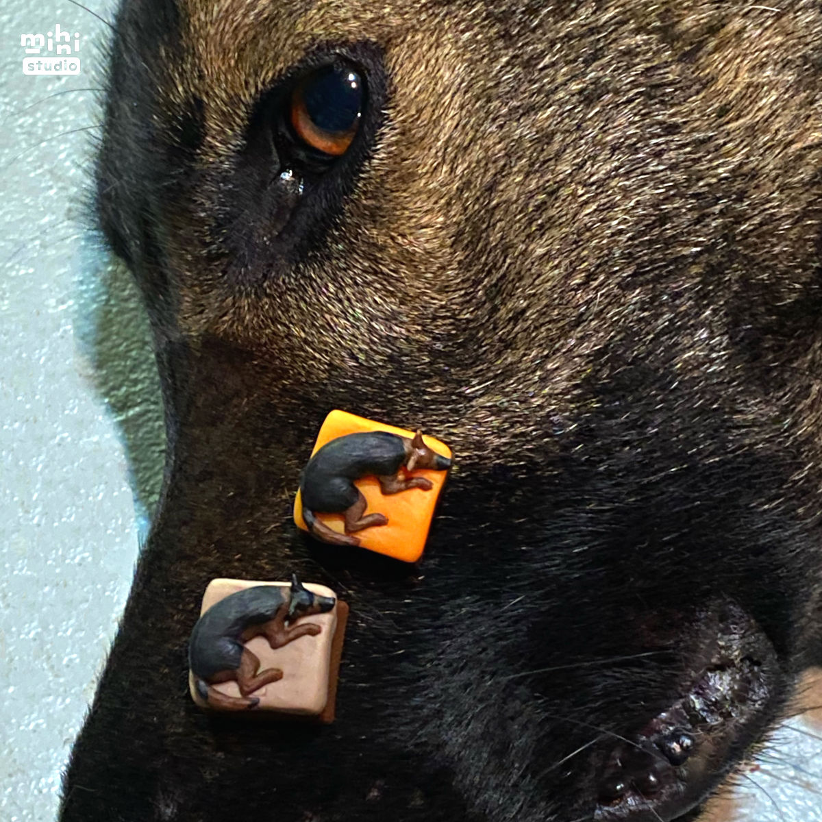 Fawkes Dog Keycaps Mihi Mini Studio